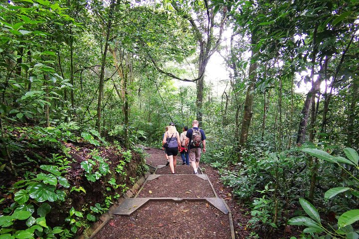 Hiking to the Rincon de la Vieja Volcano National Park Private Tour - Photo 1 of 8